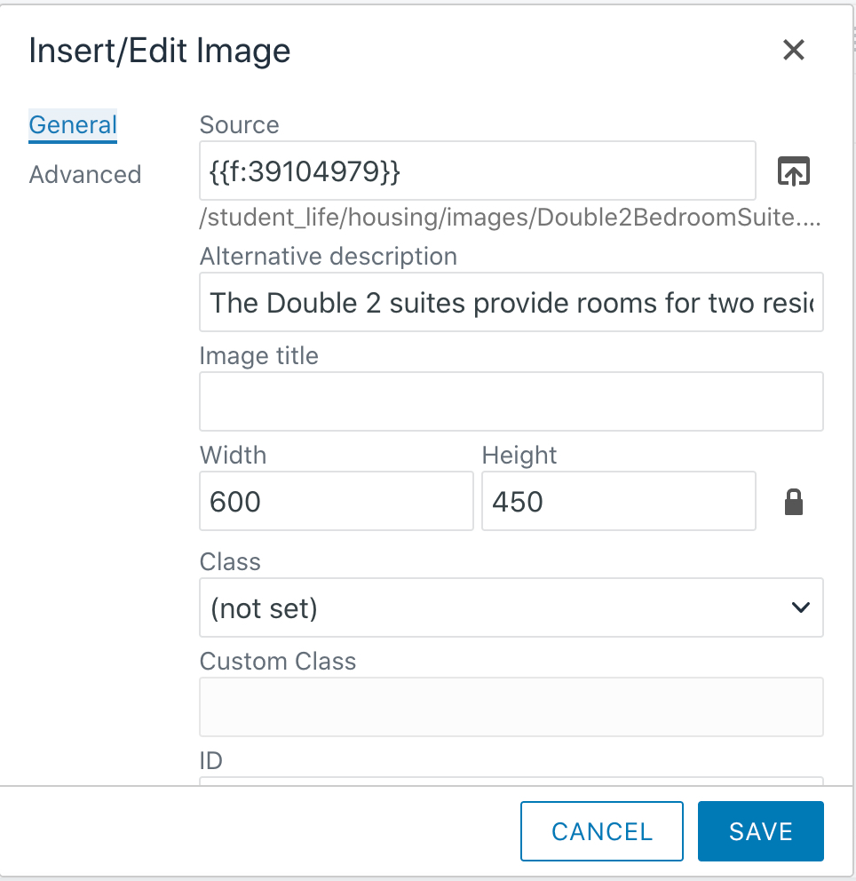 Screenshot of the Insert/Edit Image settings box. ALT Text is inserted into the "Alternative Description" field. 