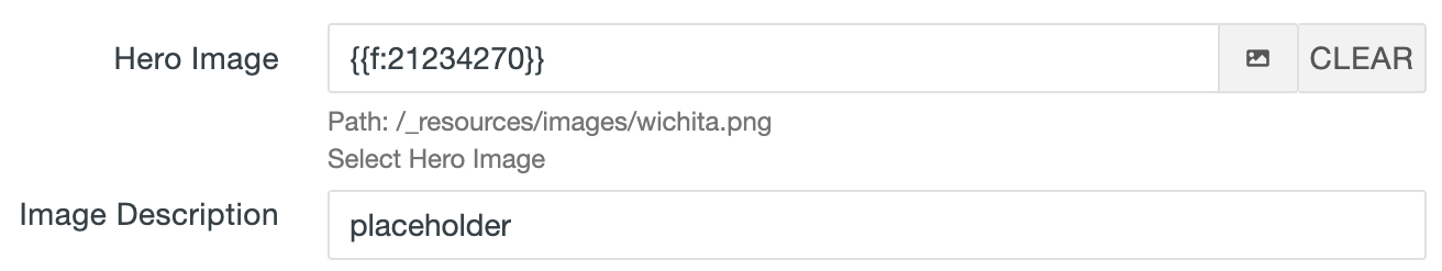 Screenshot showing where to change the ALT Text in MultiEdit options. There is a top field where the Hero Image (the banner image) is set, and underneath it is a parallel field labeled Image Description. The Image Description field is where the ALT Text is set. In this example the Image Description text is set to "placeholder," which is incorrect and an accessibility error as it does not describe the image. We need to change it to make the ALT Text for the banner image properly accessible. 