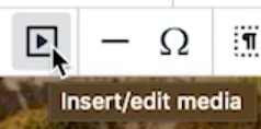 Screenshot of the Insert/Edit Media button.