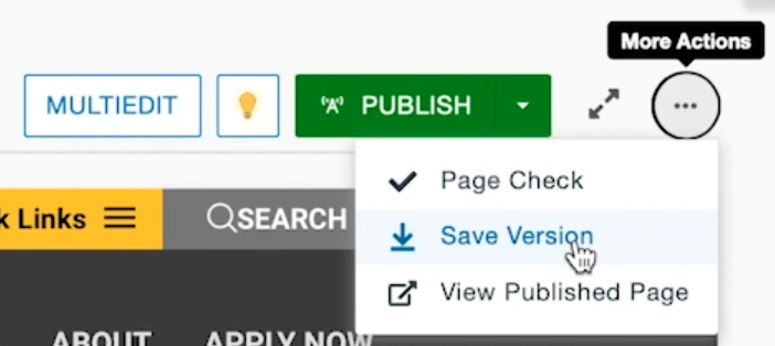 Screenshot of More Action icon in page edit view. 