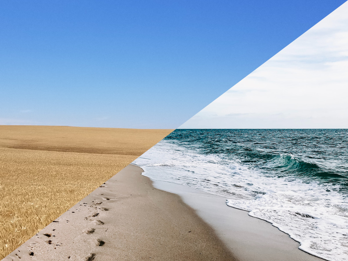 a picture of wheat next to a picture of a beach 