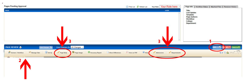 A computer image of the toolbar within the Approve Pages screen.