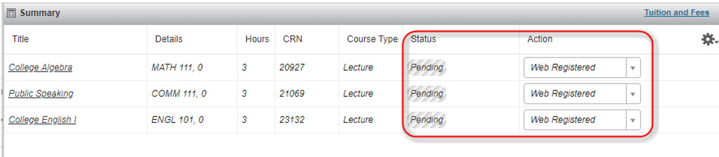 computer image showing multiple classes in summary section