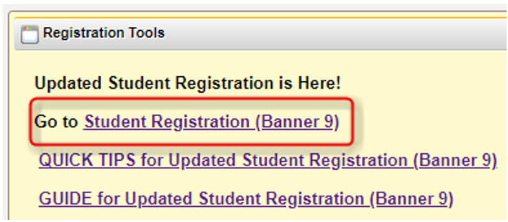 computer image with a link circled