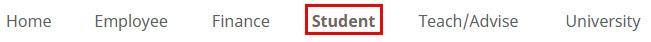 Image of Tab options in myWSU portal