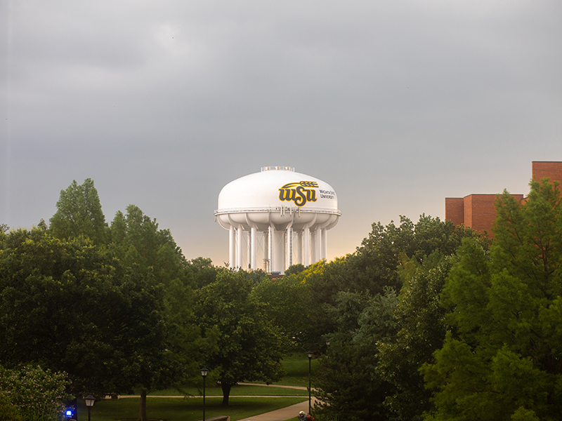 The water tower on the horizon.