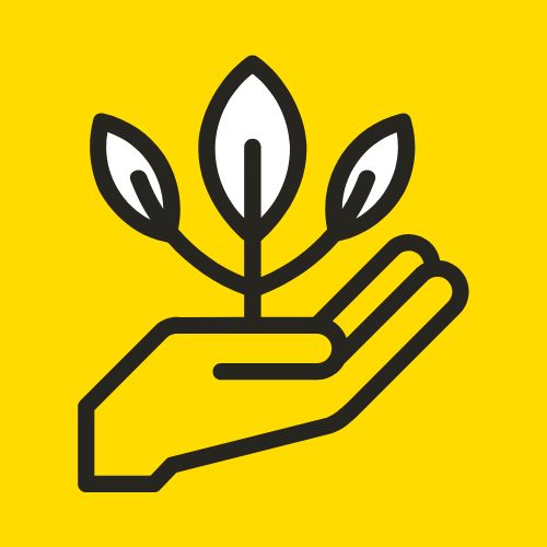 Growth Icon