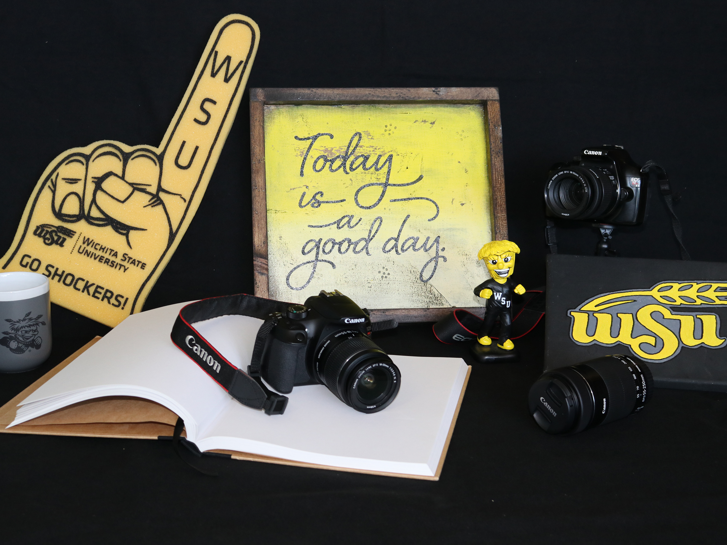 layout of cameras, wsu foam finger, wsu painting, wushock bobblehead, mug