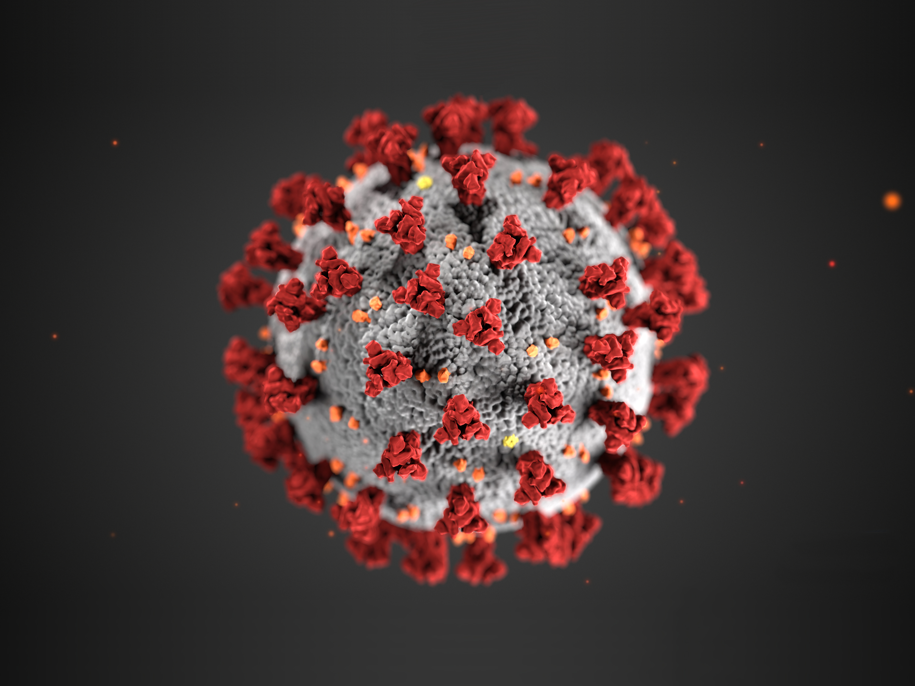 microscopically magnified image of a coronavirus