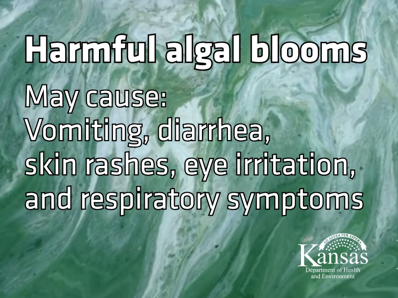 Close up of algal bloom. Image text says: Harmful algal blooms May cause:  Vomiting, diarrhea,  skin rashes, eye irritation, and respiratory symptoms
