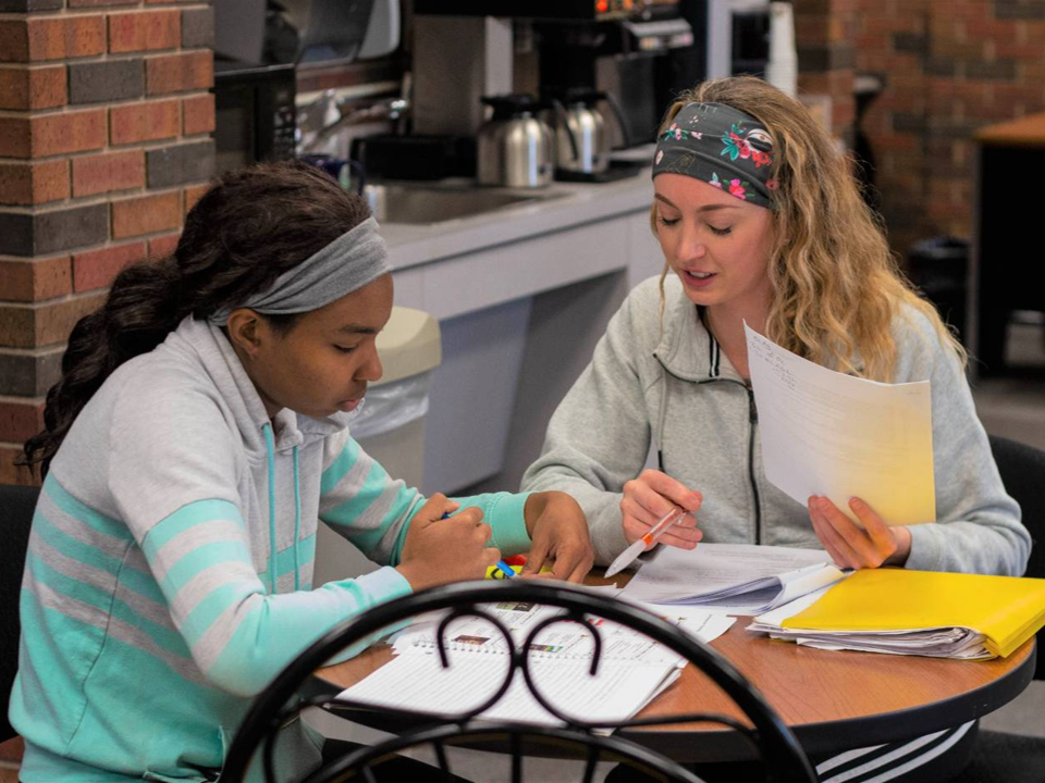 Two students studying together.