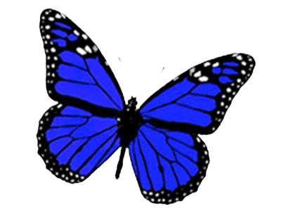 Student Support Services Logo