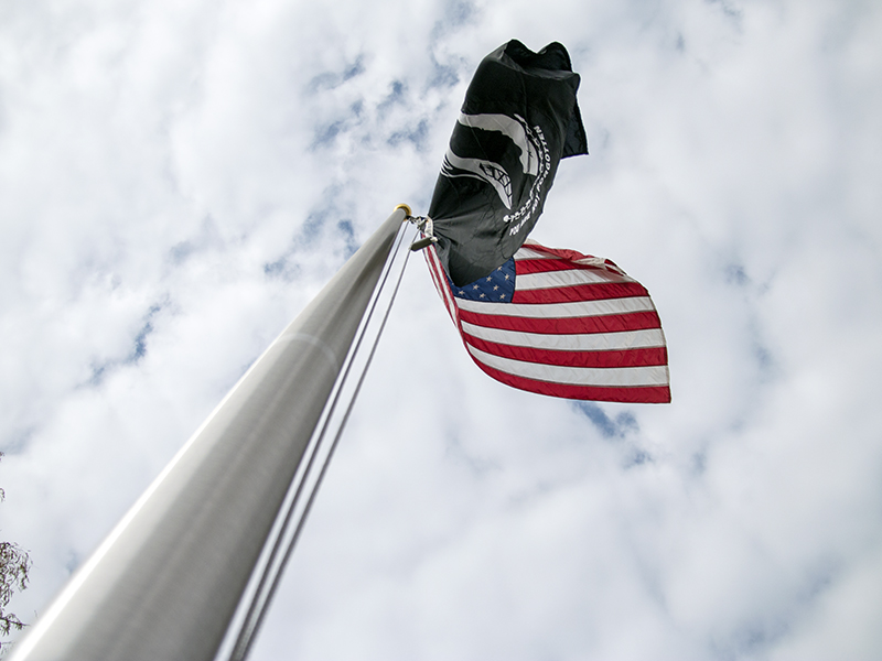 Veteran flags infront of the Military and Veteran student center.