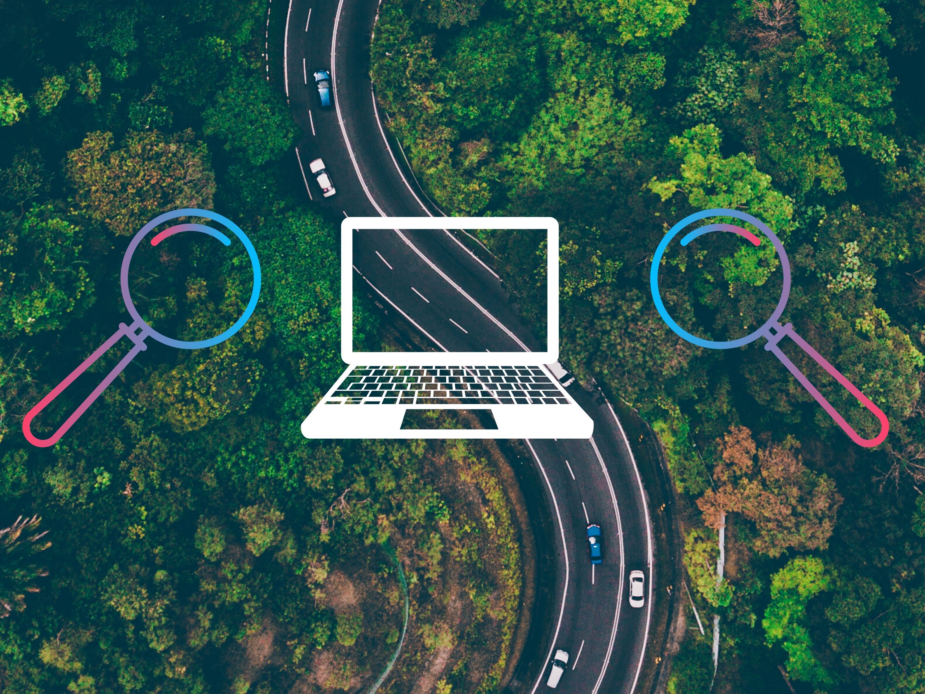 Forest background with laptop, and magnifying glasses