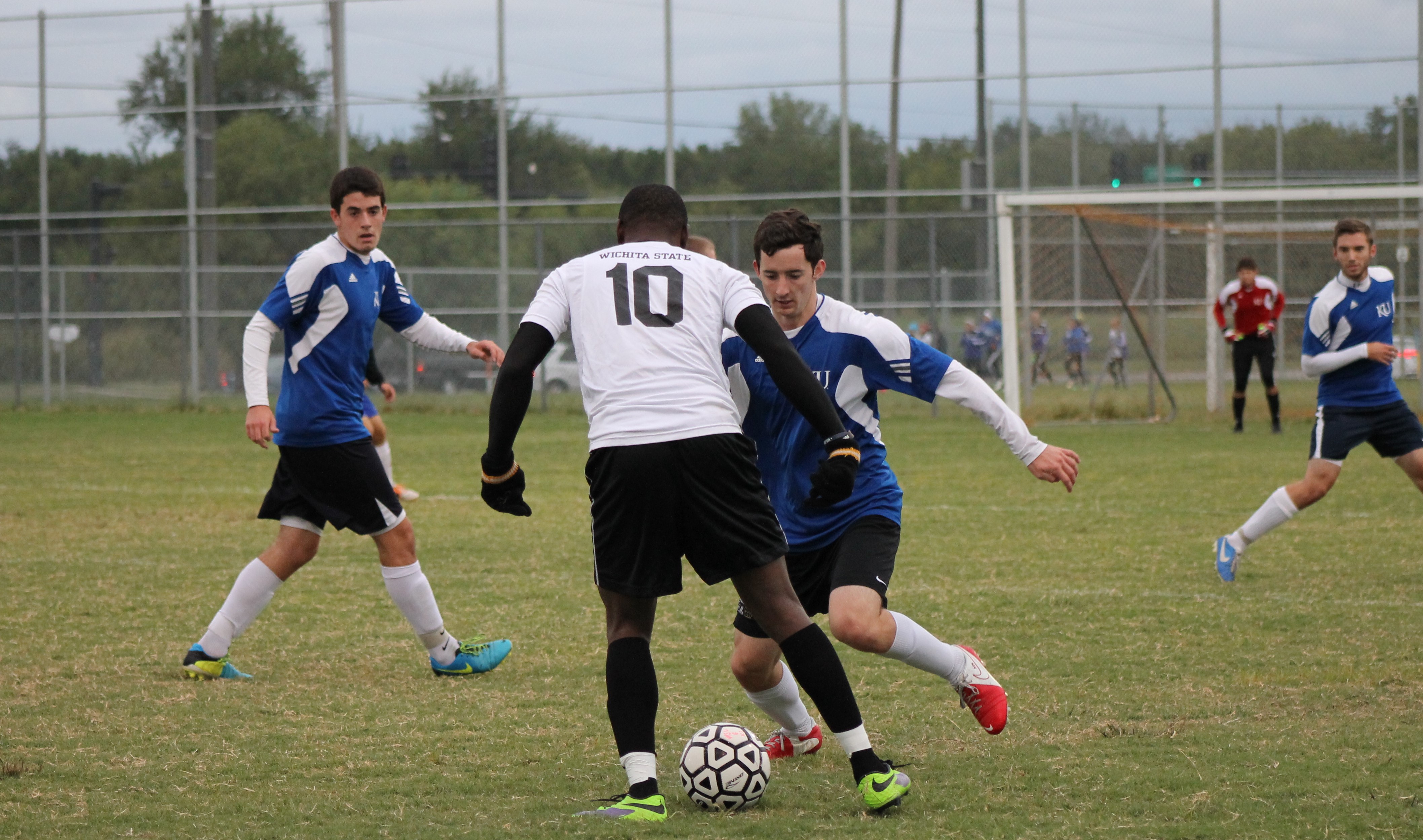 Two soccer players scrabble over the ball. Several others look on in the background, including the goalie