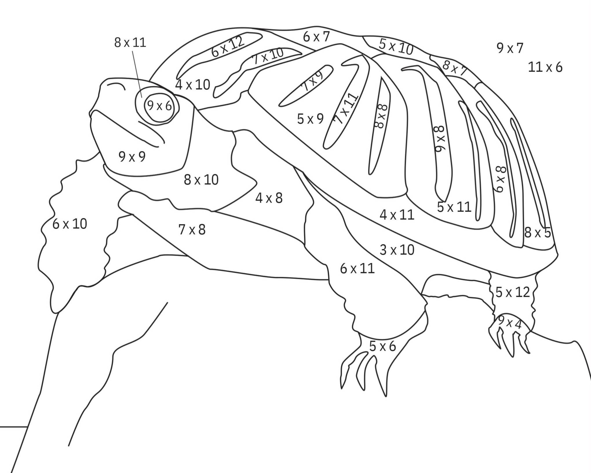 4thMathColoring