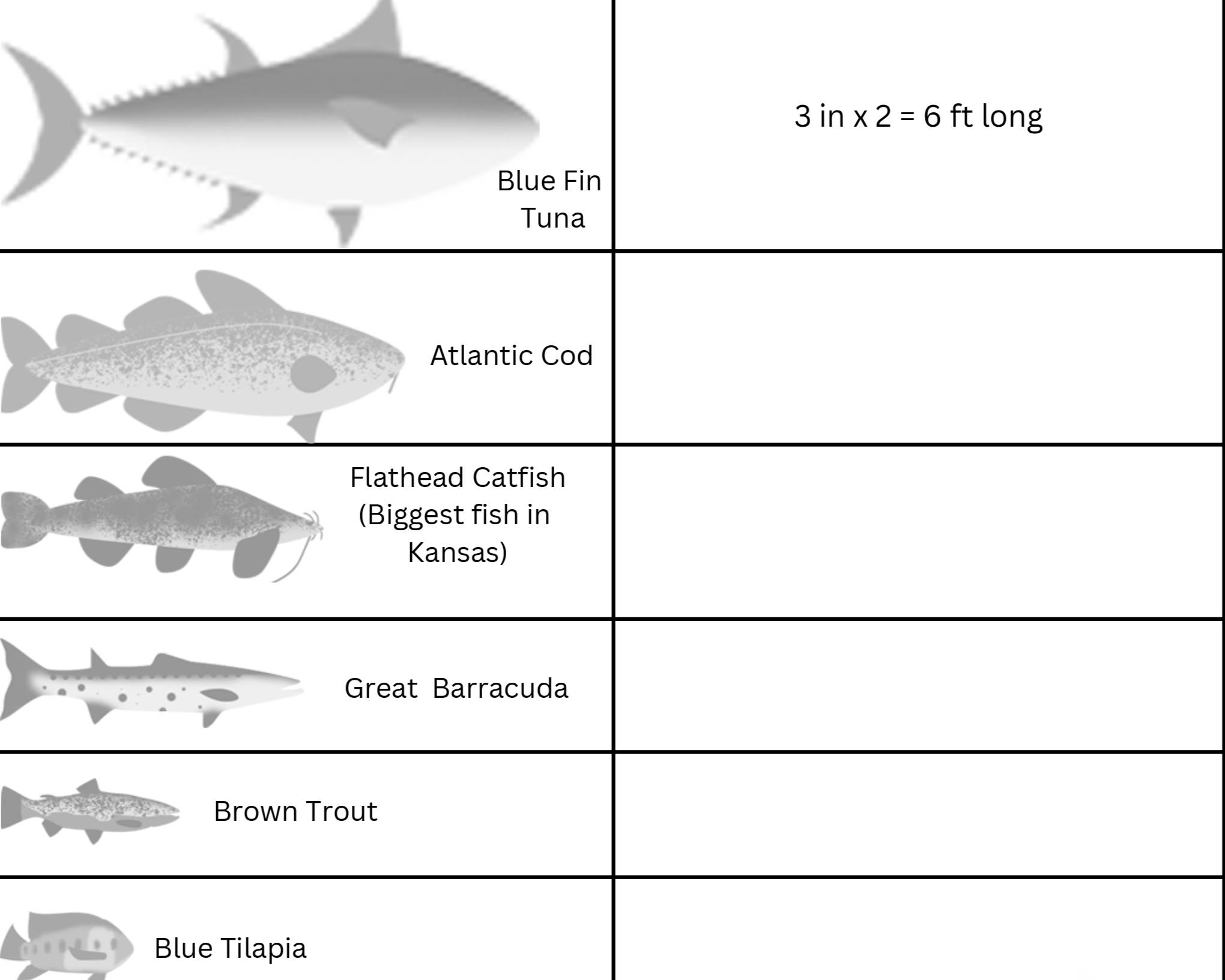 4th Grade Math and Science