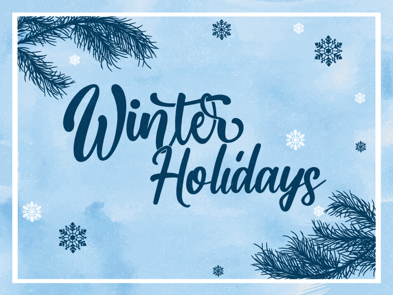 Winter Holidays Banner